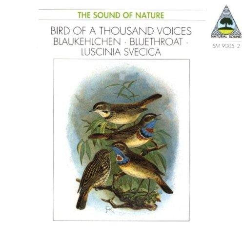 "CD cover with illustration of four birds perched on branches, surrounded by leaves."