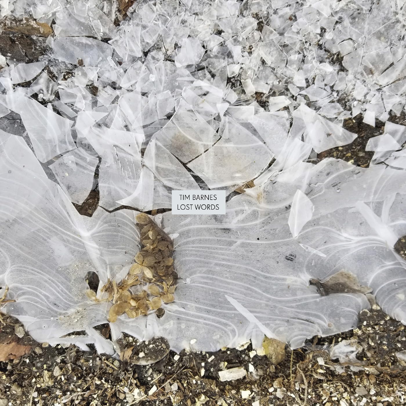 Album cover for Tim Barnes’ “Lost Words” featuring shattered glass imagery.
