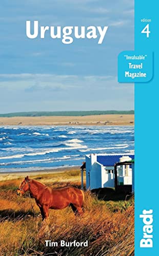 A brown horse stands in tall grass near a white building by the ocean.
