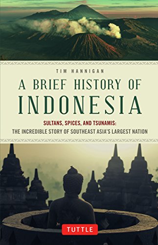 Book cover titled A Brief History of Indonesia featuring a volcano and temple silhouettes.
