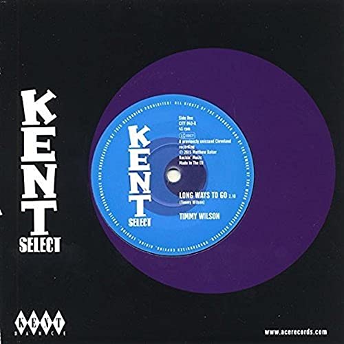 Purple vinyl record label with white text: "Timmy Wilson - Long Ways To Go.