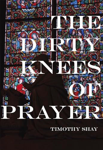 Book cover with stained glass background and kneeling figure.