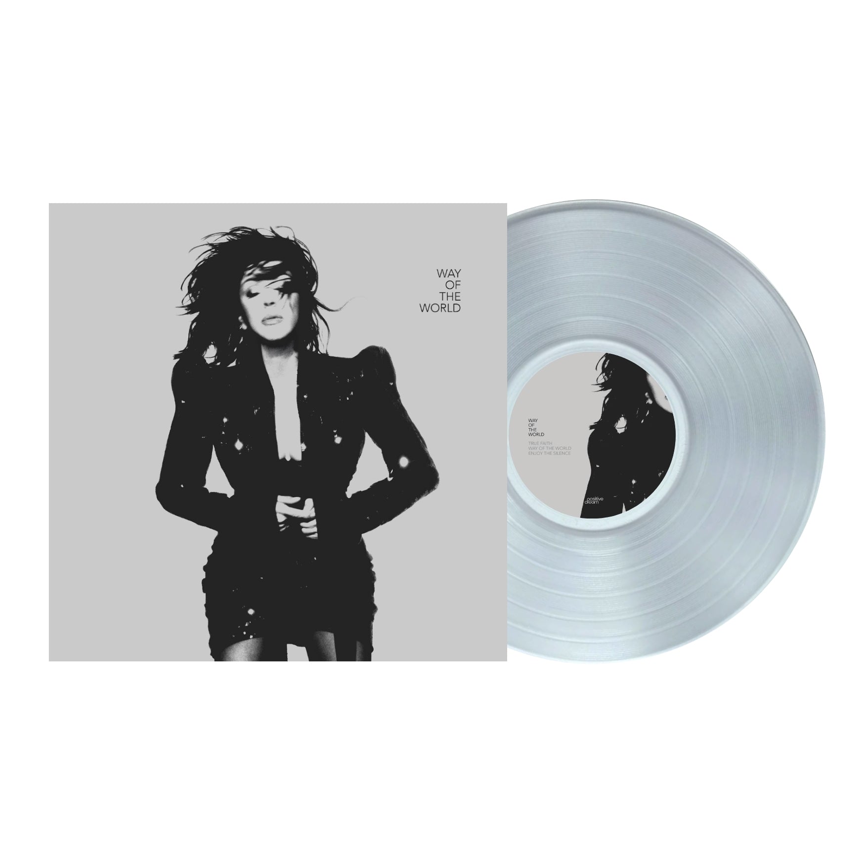 Tina Arena's "Way Of The World" vinyl record with silver disc.