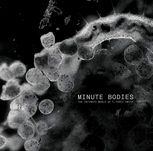 Black and white microscopic image with album title "Minute Bodies.