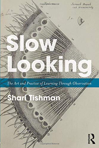 Book cover for Slow Looking by Shari Tishman featuring a botanical cross-section illustration.