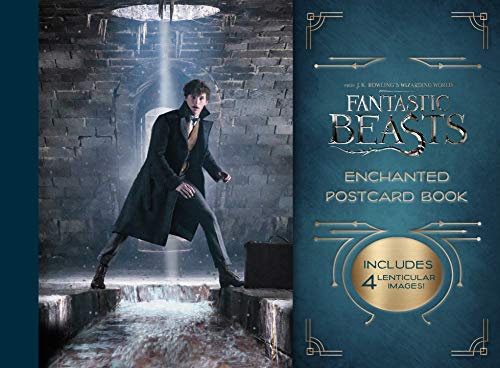 Fantastic Beasts postcard book cover featuring Newt Scamander in a stone archway.