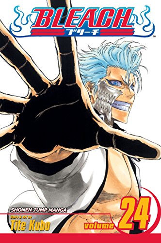Bleach, Vol. 24 : Volume 24
