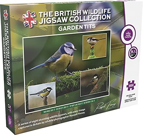 Puzzle box featuring a blue tit and other small garden birds.