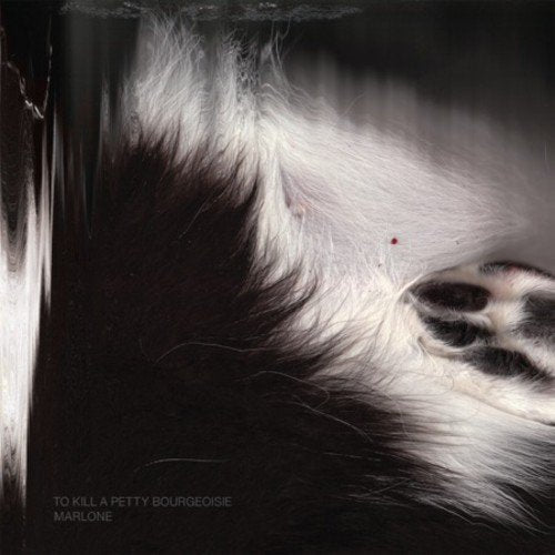 "Album cover with a close-up of a cat's black and white fur, with a red mark."