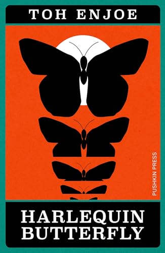 Book cover: stylized black butterflies on orange and teal background.