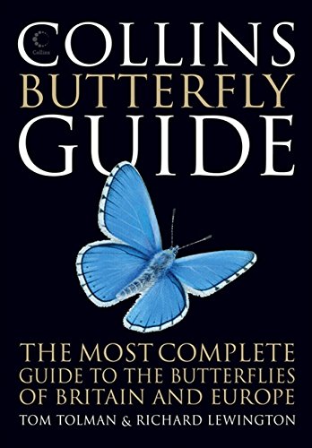 Book cover for Collins Butterfly Guide featuring a blue butterfly on a black background.