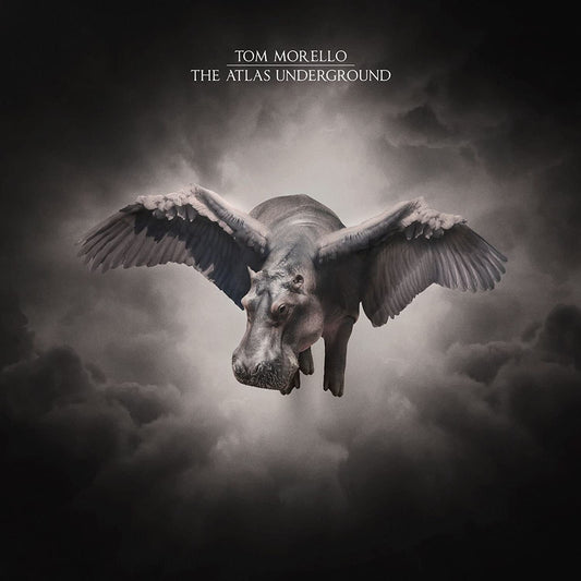 "Album cover featuring a hippo with wings flying through cloudy sky, monochromatic tones."