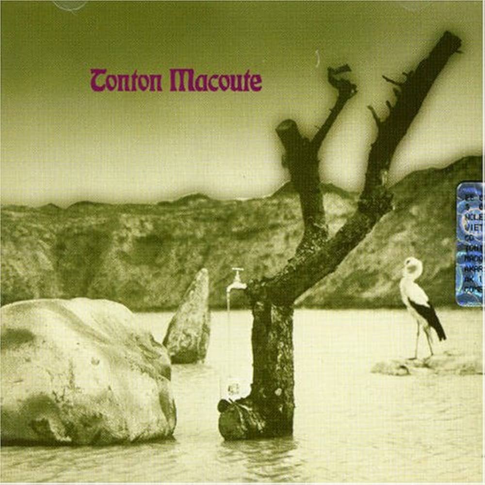 Album cover showing a dead tree with a faucet, rocks, and a stork.