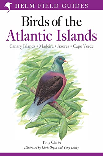 Bird field guide cover featuring a common pigeon on a branch.