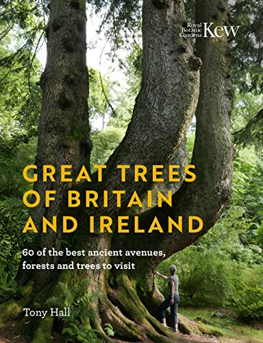 Book cover showing a person standing beside a massive ancient tree trunk in woodland.