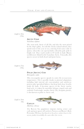 Page from "Arctic: A guide to coastal wildlife" showing illustrated fish species.
