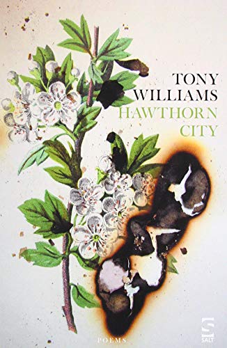 Book cover featuring a hawthorn branch with white flowers and a large burn mark.