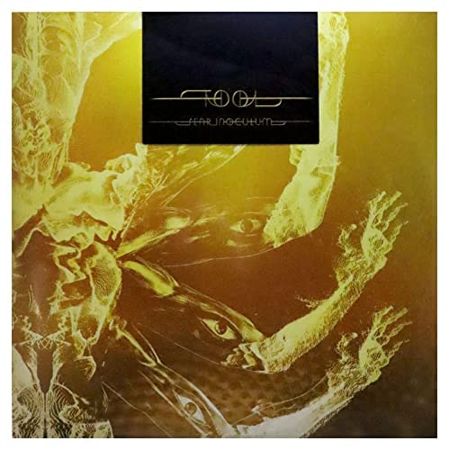 Tool’s “Fear Inoculum” vinyl album cover with abstract, textured imagery.