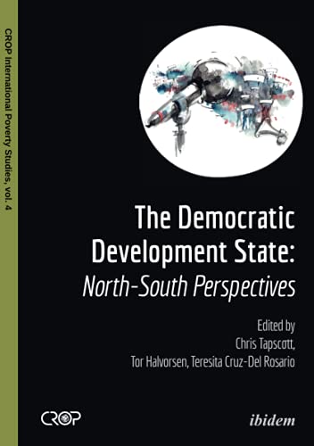 Book cover: “The Democratic Developmental State” with abstract robotic illustration.