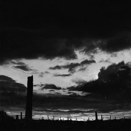 Black and white landscape with weathered posts under a cloudy sky.