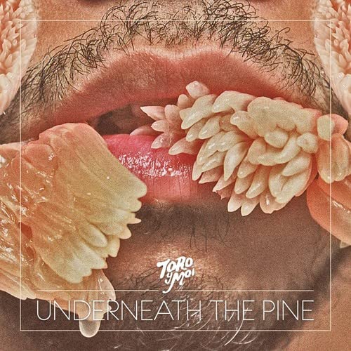 Close-up of lips with flowers, album cover for Toro Y Moi’s “Underneath The Pine.”
