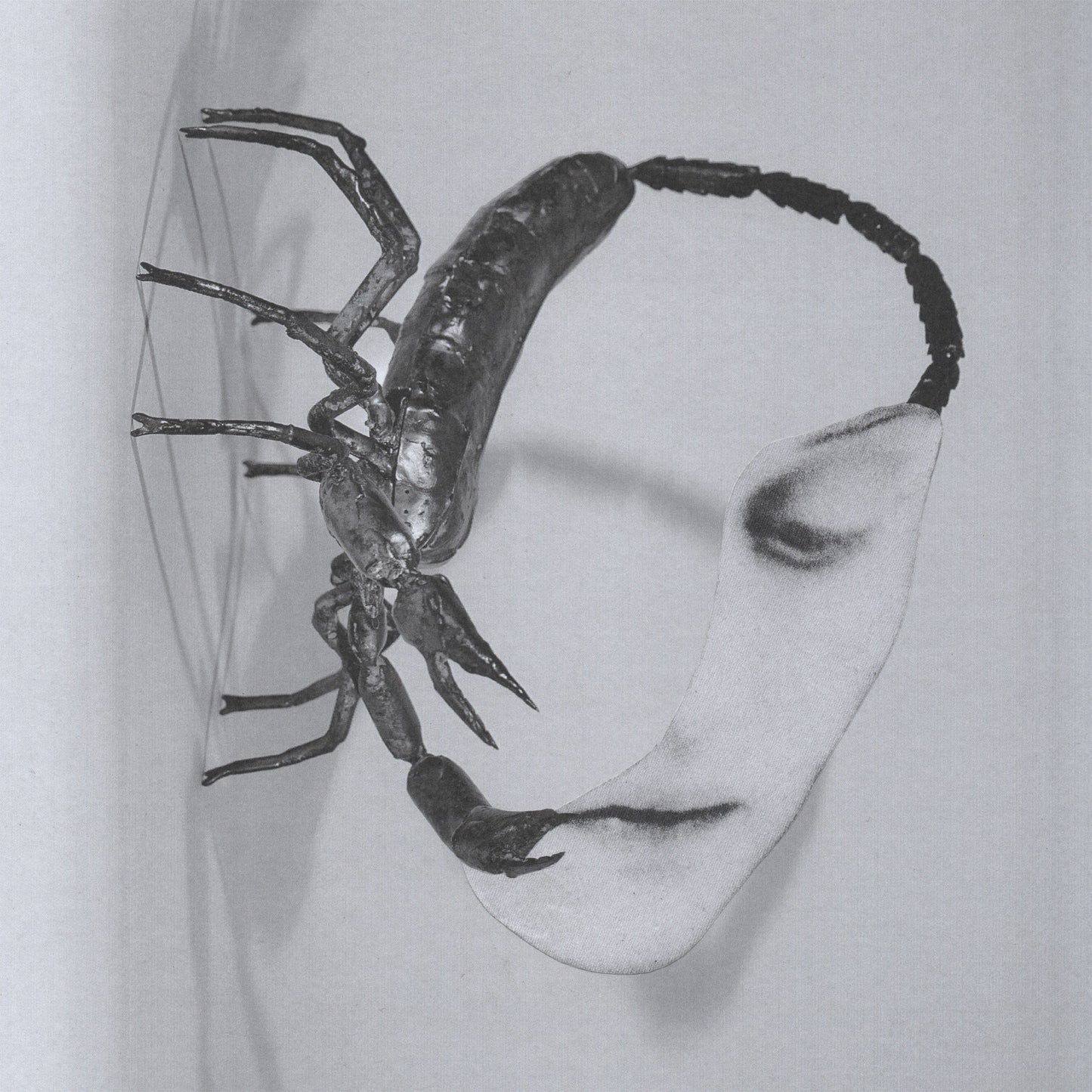 Black and white collage of a scorpion and a partial face.