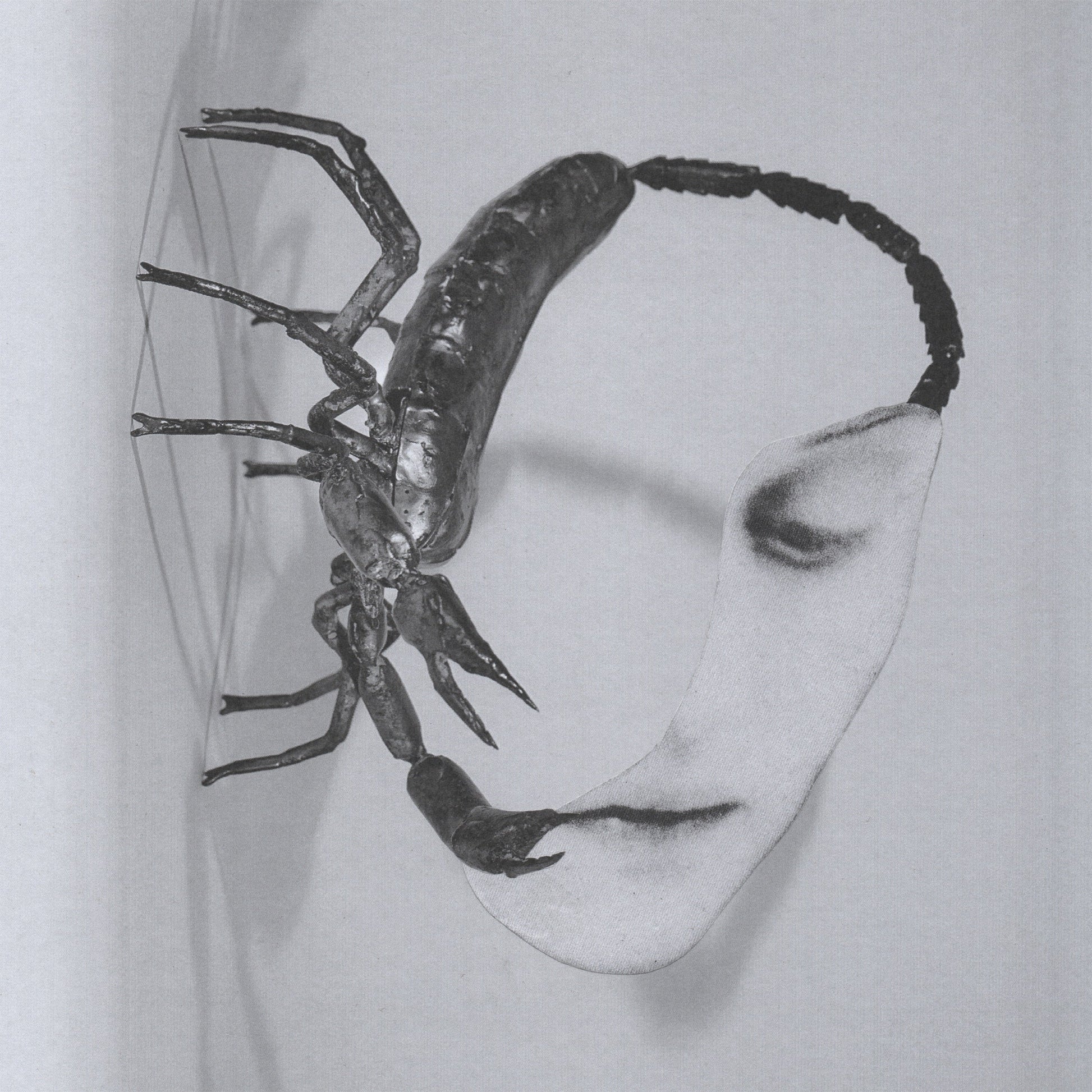 Black and white collage of a scorpion and a partial face.