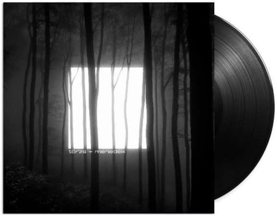 Vinyl record with album cover depicting a bright window in a dark forest.