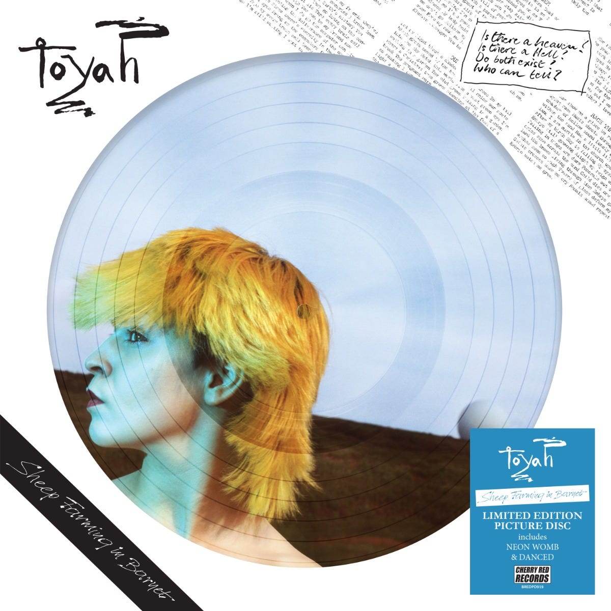 Toyah album cover: portrait with blue vinyl record and text details.