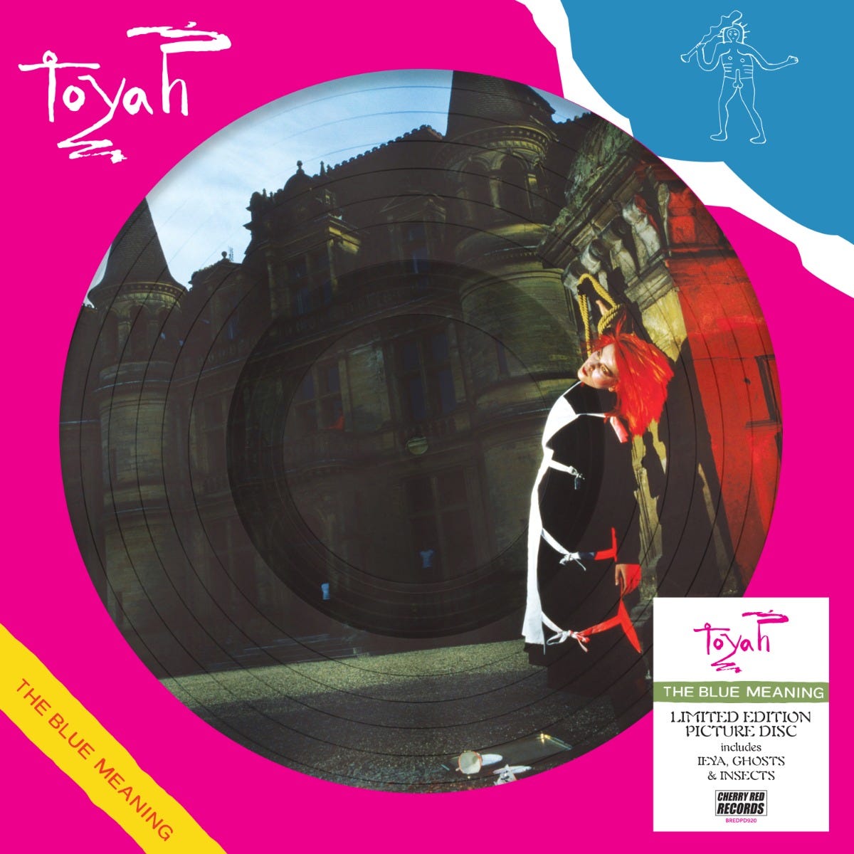Vinyl picture disc of Toyah's The Blue Meaning featuring a person before a castle.