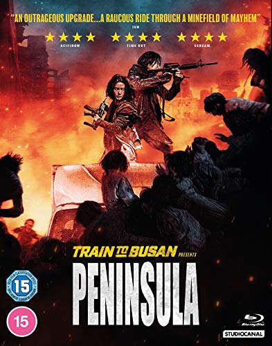 Two armed characters stand before a horde of zombies in a fiery, ruined cityscape.