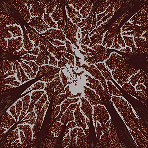 CD cover art: looking up into a dense canopy of autumn trees.
