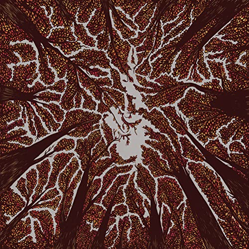 Overhead view of dense, colorful tree branches against a pale sky.