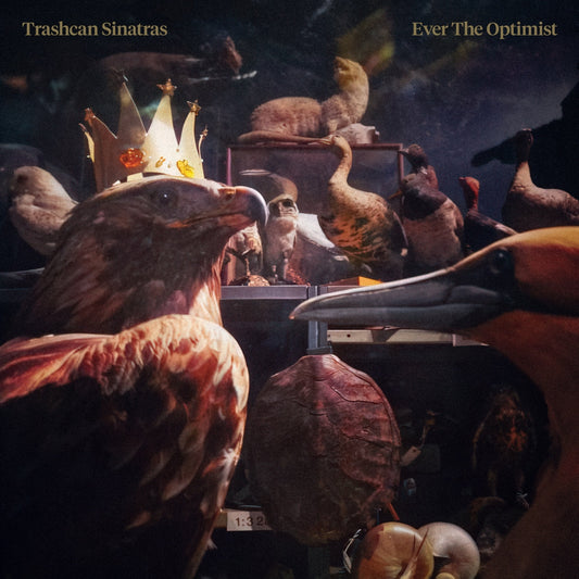 Album cover for Trashcan Sinatras’ “Ever The Optimist” featuring taxidermied birds.