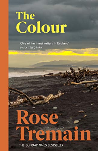 Book cover for The Colour by Rose Tremain showing a dark beach with driftwood.