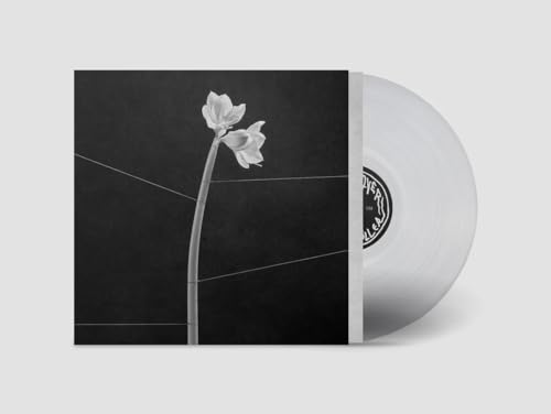 Trentemoller "Dreamweaver" vinyl record with a flower on a black cover.