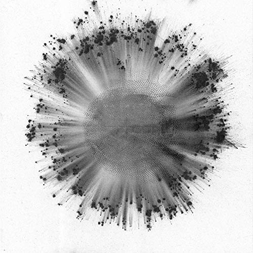 Black and white abstract ink splatter resembling a floral burst.
