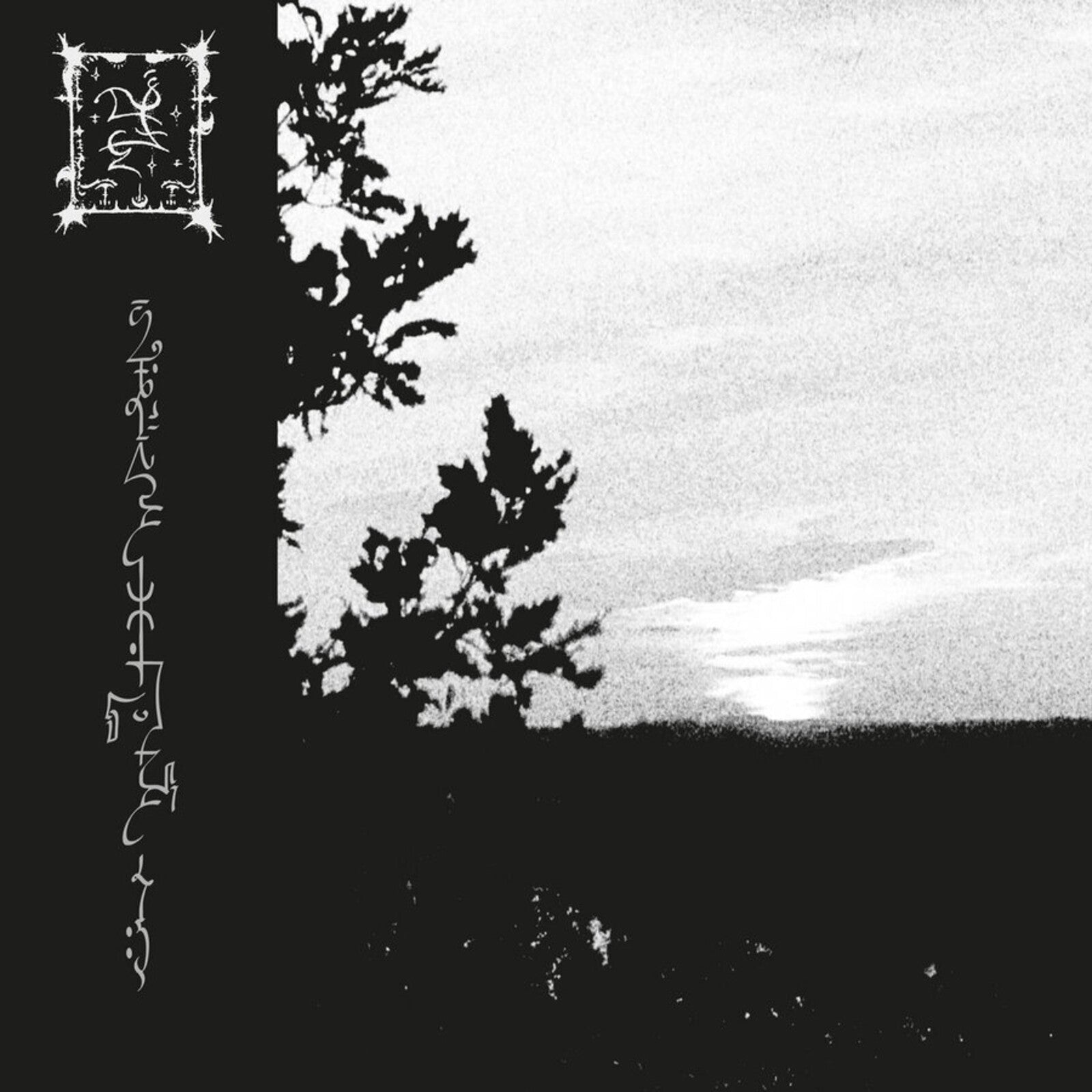 Black and white vinyl record cover with tree silhouette and text.