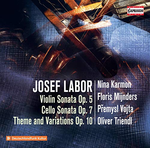 CD cover for Josef Labor sonatas featuring abstract wood and text.