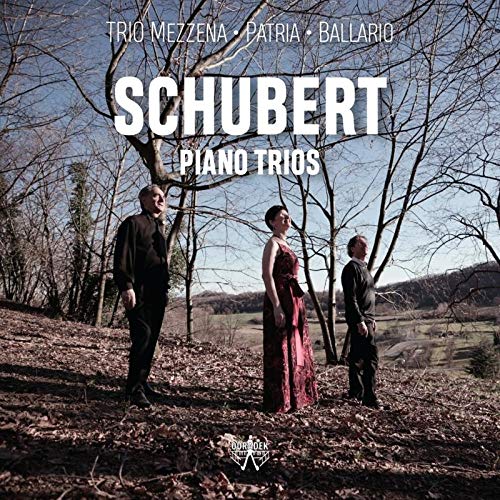 "CD cover featuring three musicians standing in a wooded area, with 'Schubert Piano Trios' text."
