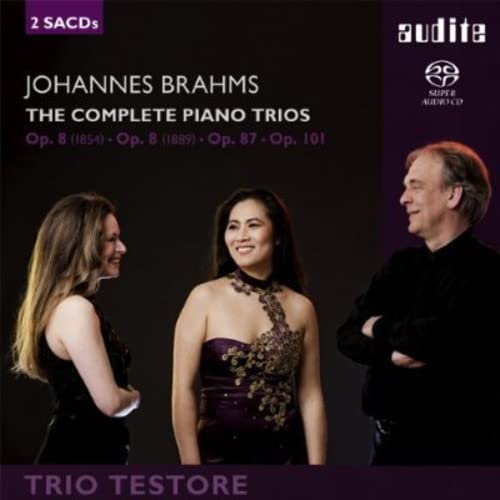 CD cover for Brahms piano trios featuring a portrait of the Trio Testore.