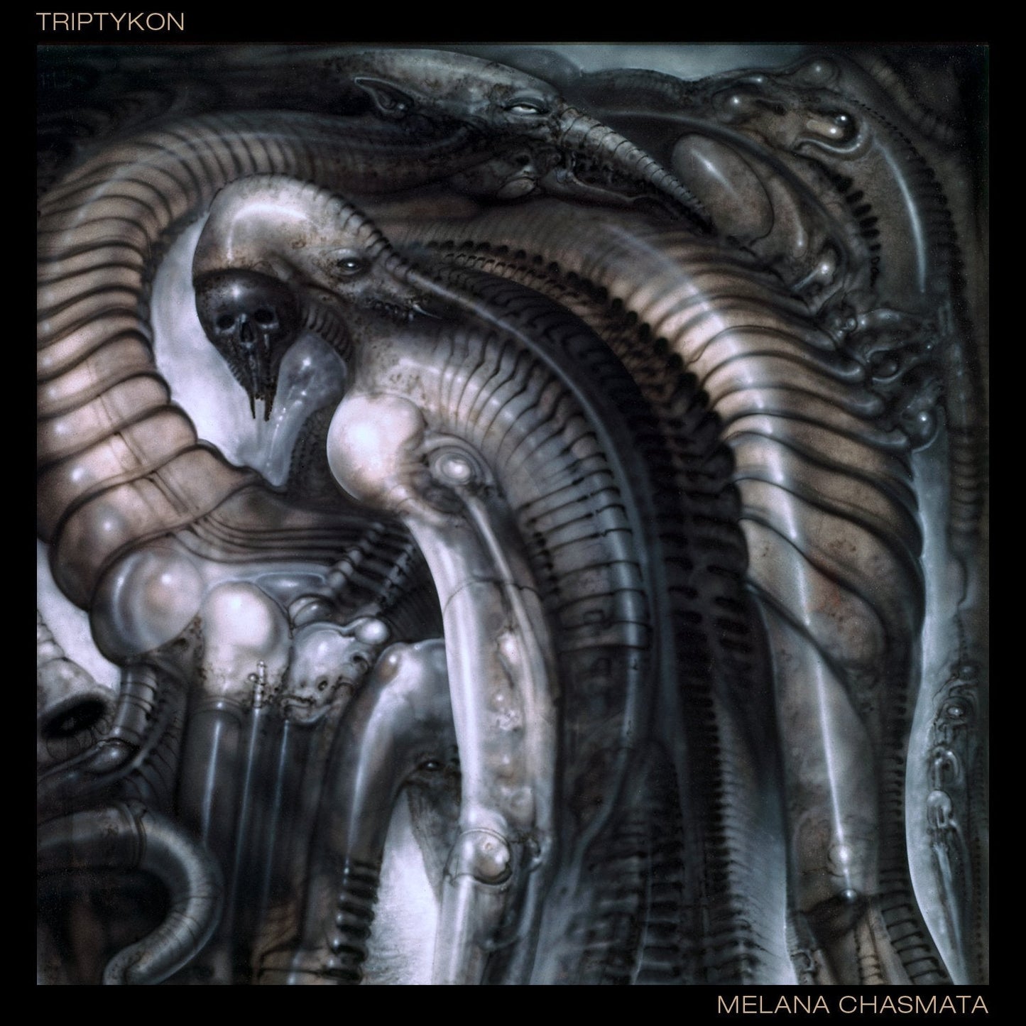 Dark, surreal album cover featuring organic, skeletal forms and textures.