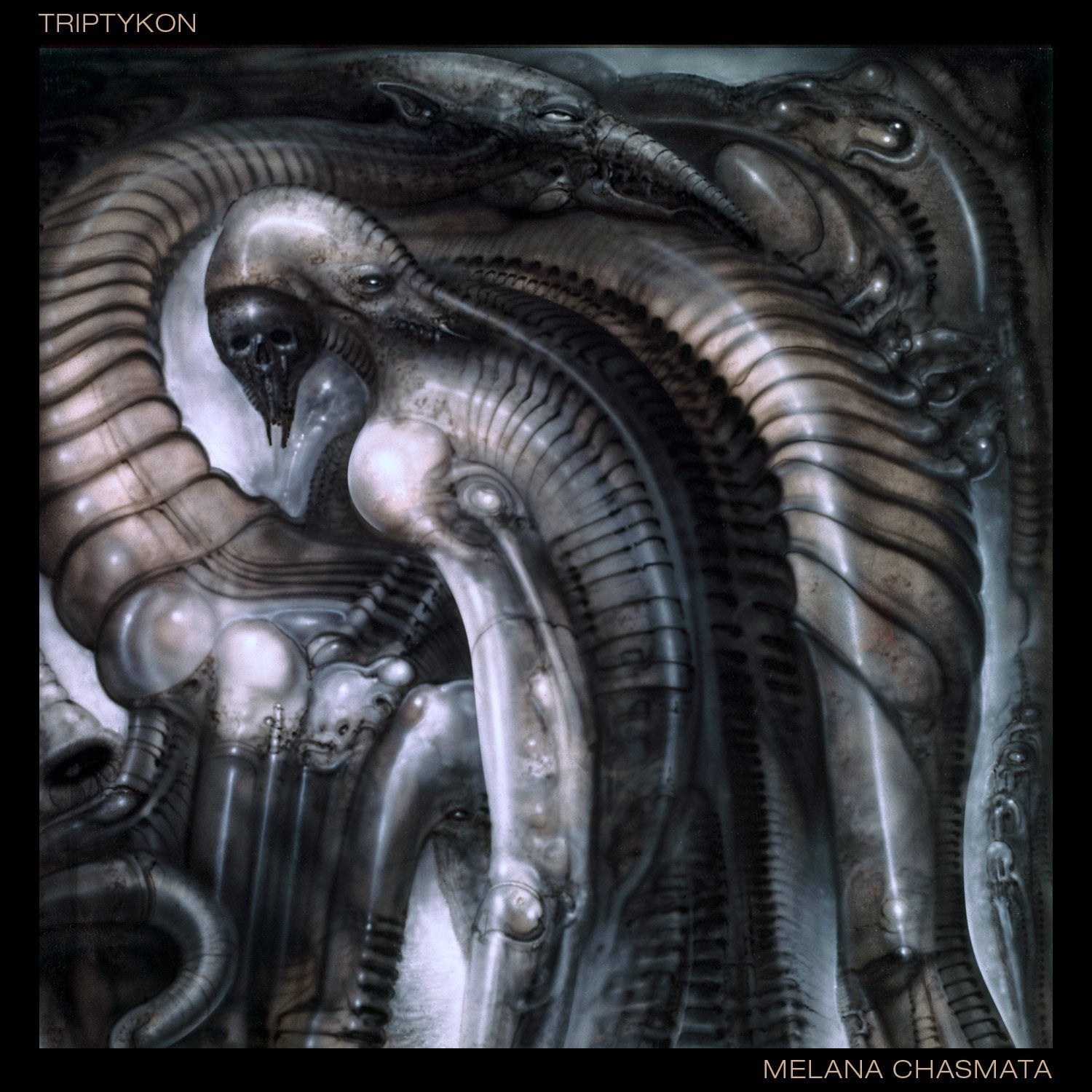 Dark, surreal album cover featuring organic, skeletal forms and textures.