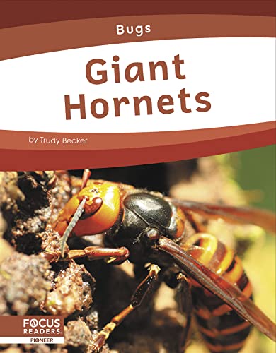 Book cover featuring a close-up of a large, striped hornet.