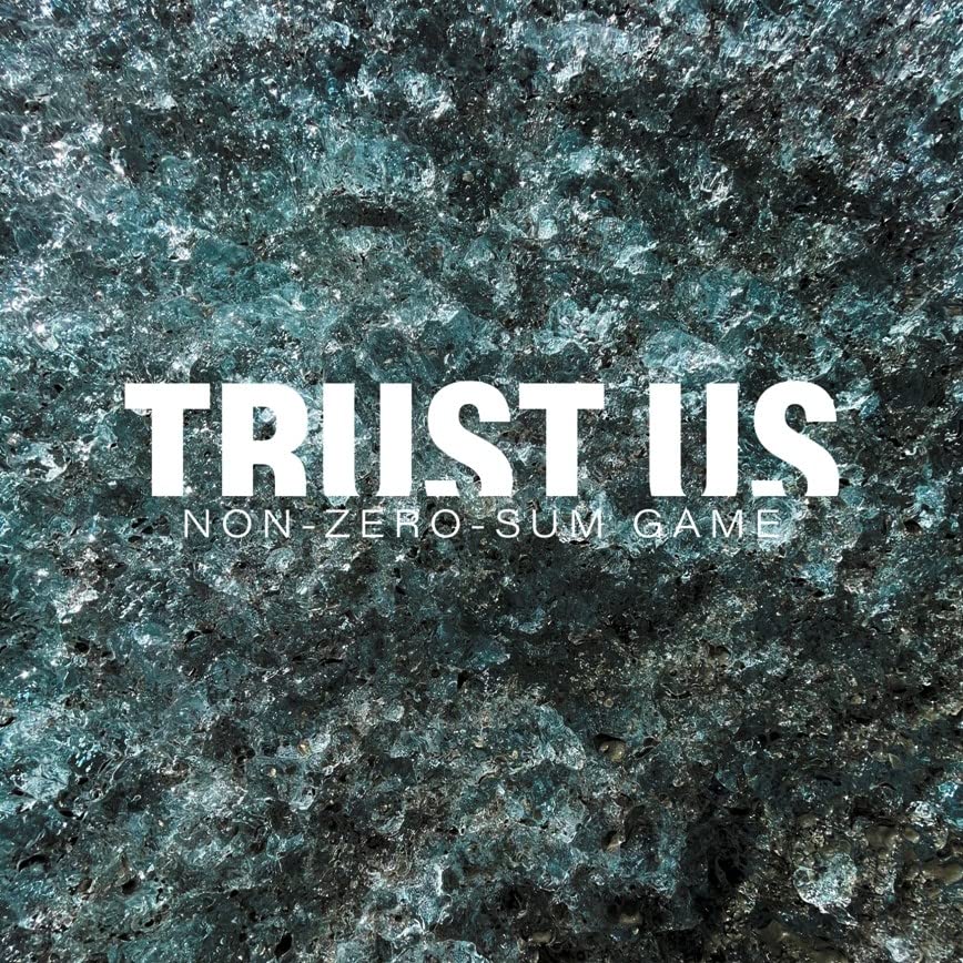 Vinyl record cover with white text “TRUST US - NON-ZERO-SUM GAME” on dark texture.