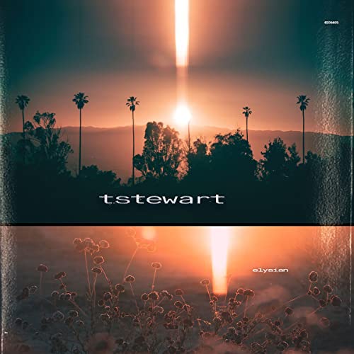 Album cover for Tstewart’s “Elysian” featuring a sunset and palm trees.