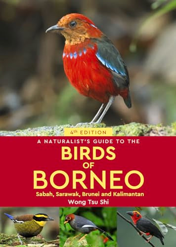 Book cover featuring a vibrant red and blue bird, “Birds of Borneo.”