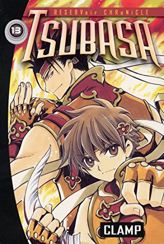Manga volume 13 cover featuring two anime-style characters and swords.
