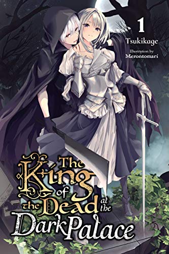 Light novel cover featuring two armored figures in a dark, gothic setting.