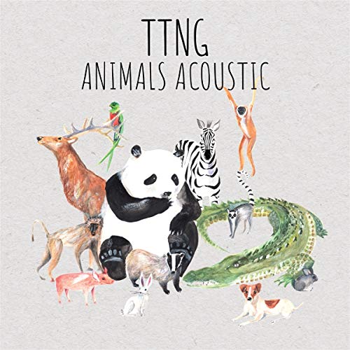 CD cover for "Animals Acoustic" by Ttng, featuring watercolor animal illustrations.